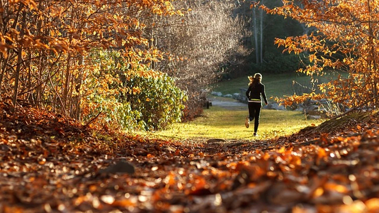 Achieving Peak Performance featured image for specialized running guidance