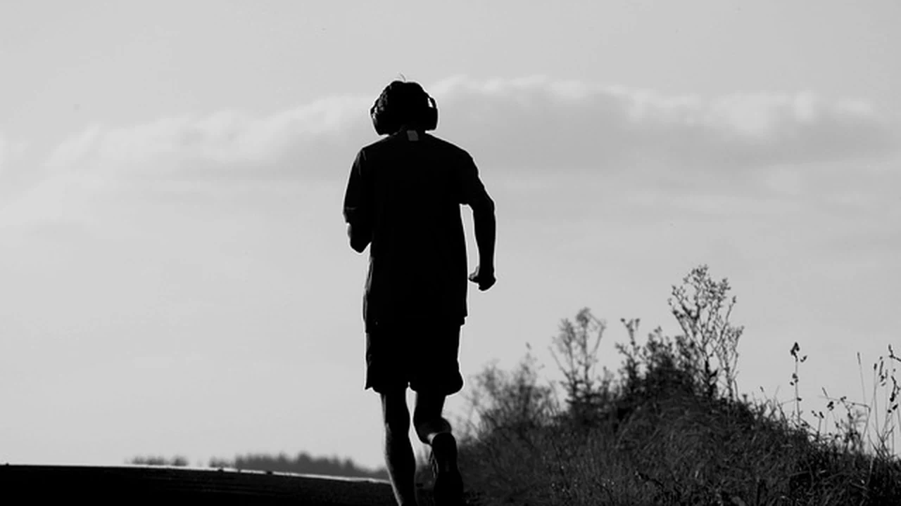 Vertical Oscillation Explained supporting running article image