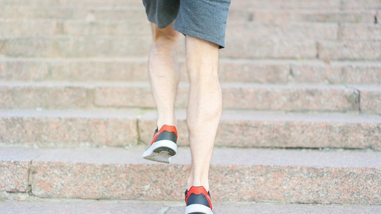 Your First Steps to a 10K supporting running article image