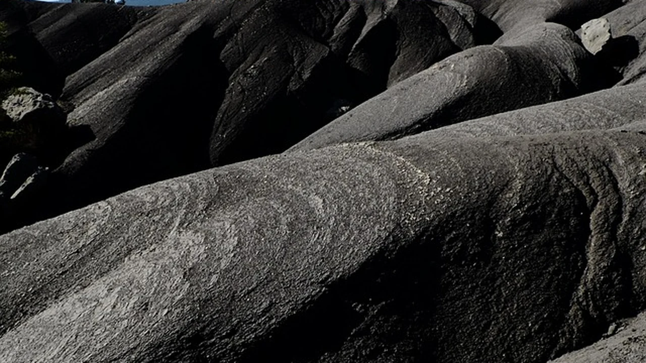 Finding Suitable Running Trails supporting running article image