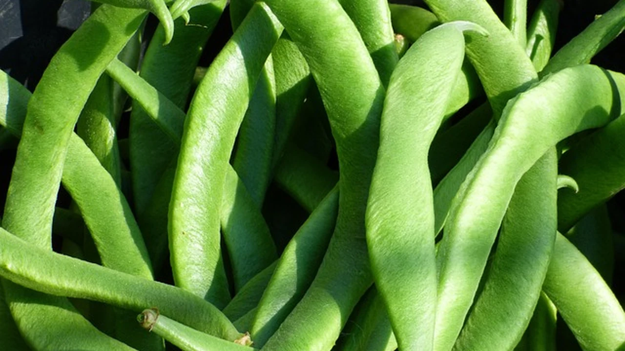 How Much Caffeine Before a Run? Dosing Guidelines supporting running article image