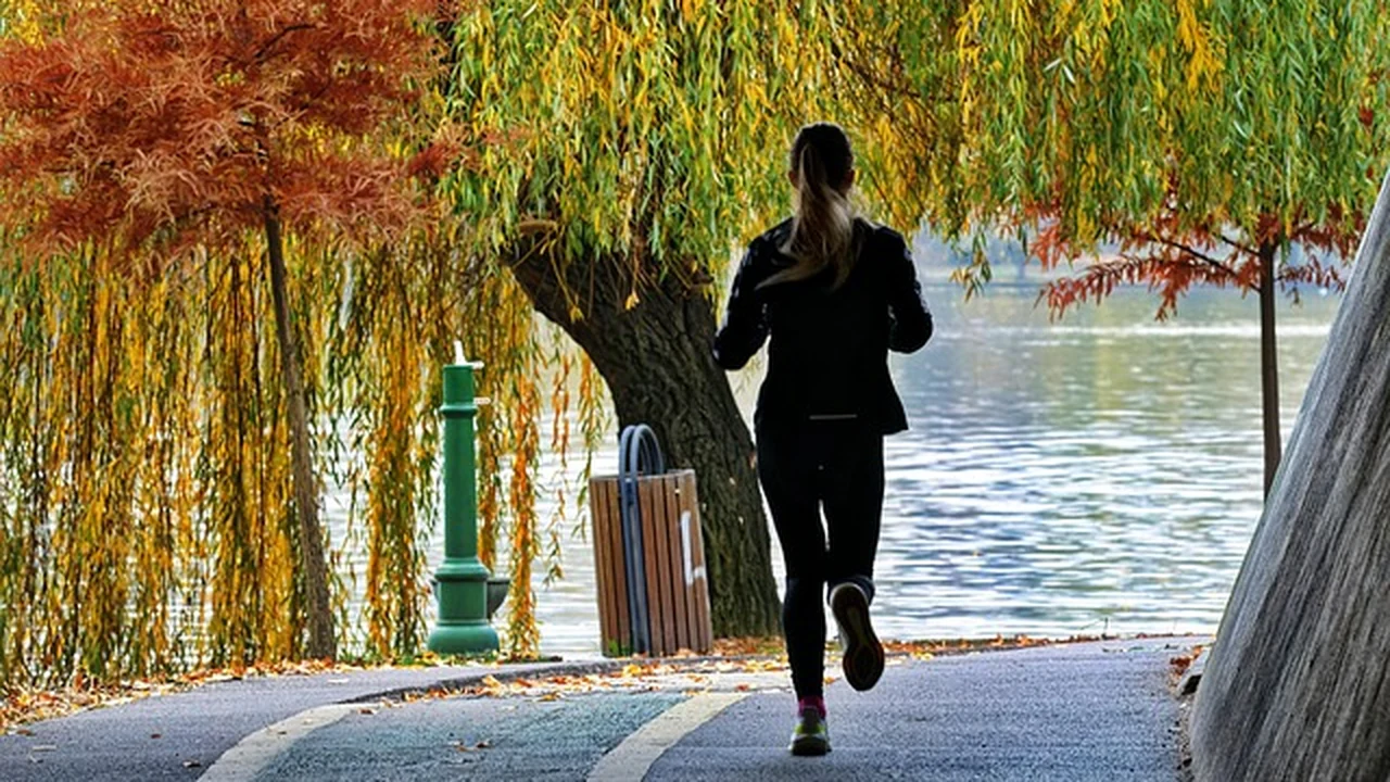 Does Running Ever Get Easier? The Honest Truth supporting running article image