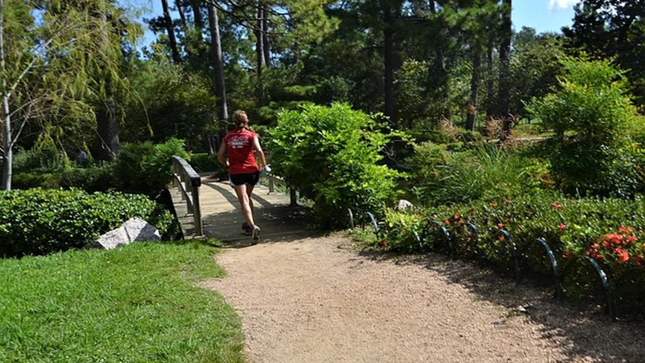 Simple Visuals And Images To Support The Article supporting running article image