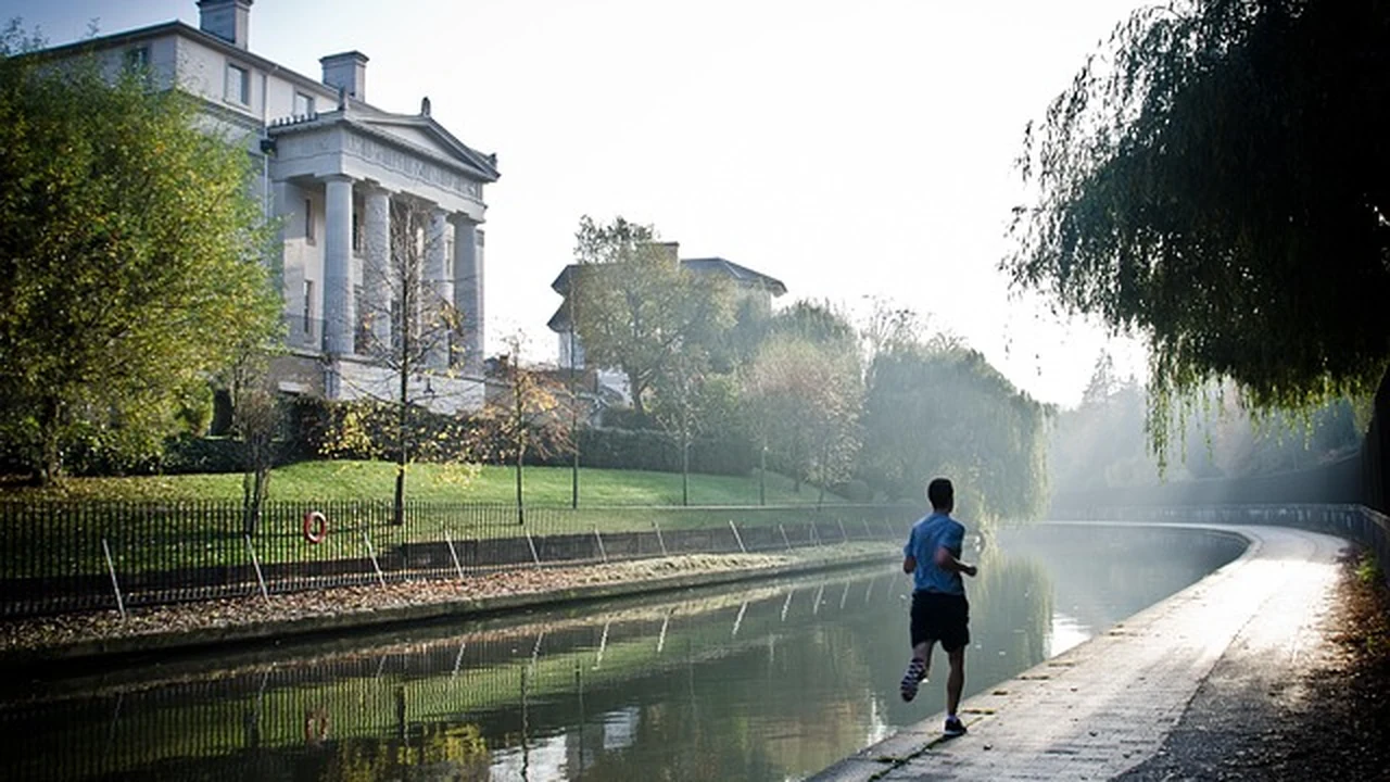 Electrolytes for Runners featured image for running nutrition guidance