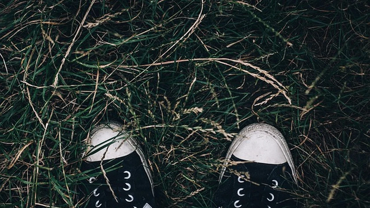 Heat Training For Runners supporting running article image