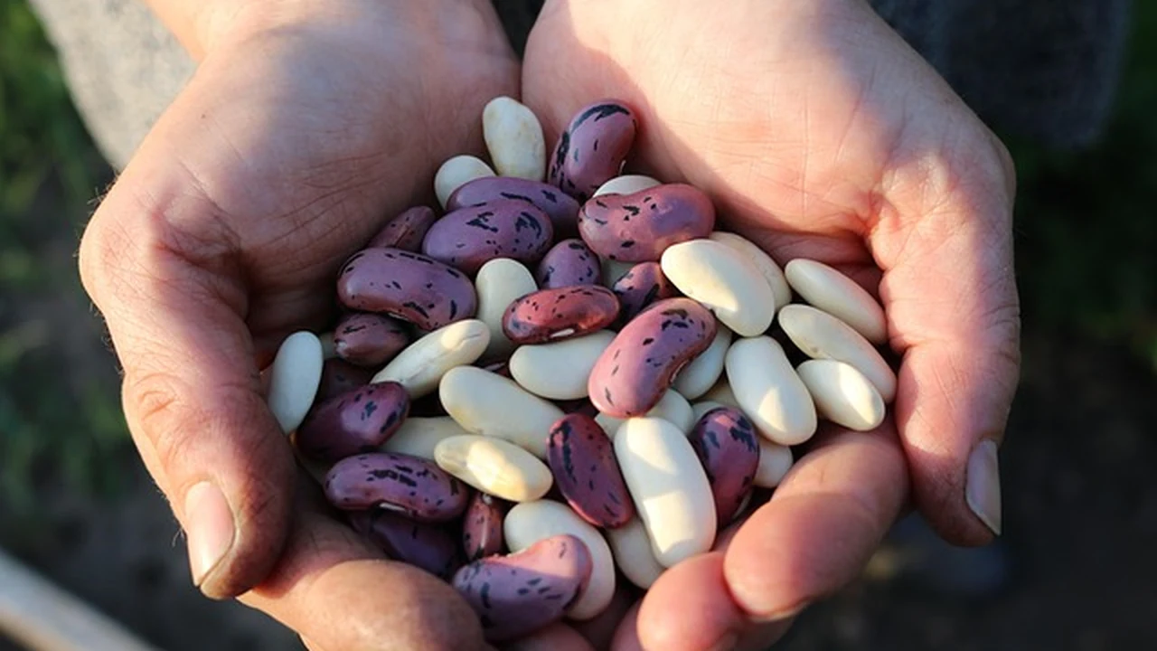 How to Run Hill Repeats with Efficient Technique supporting running article image