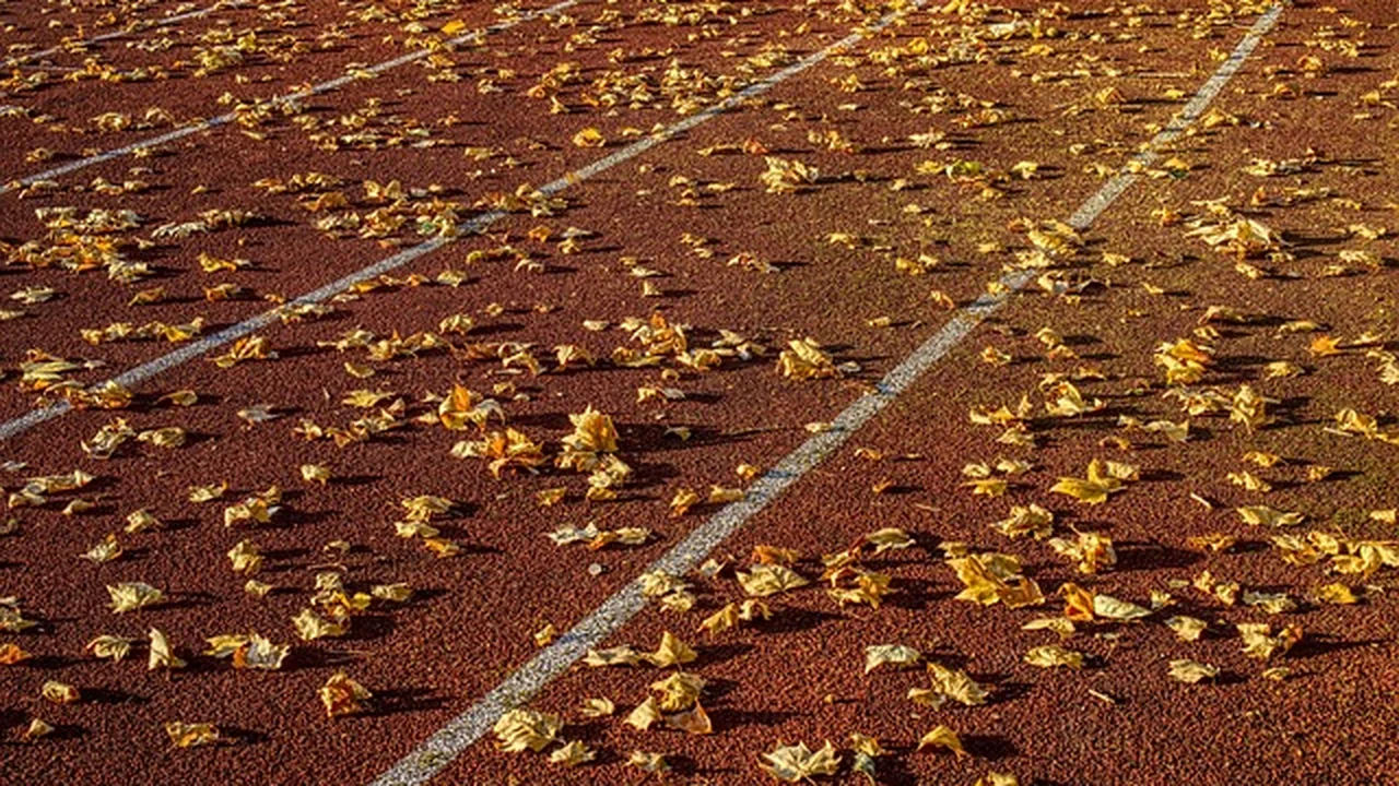 What Are Running Strides? supporting running article image