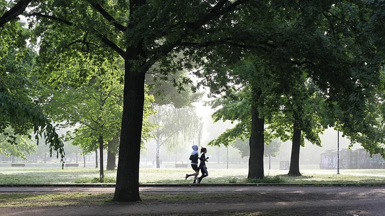 4. Tapping Local Knowledge: Communities, Clubs, and Real-World Clues supporting running article image