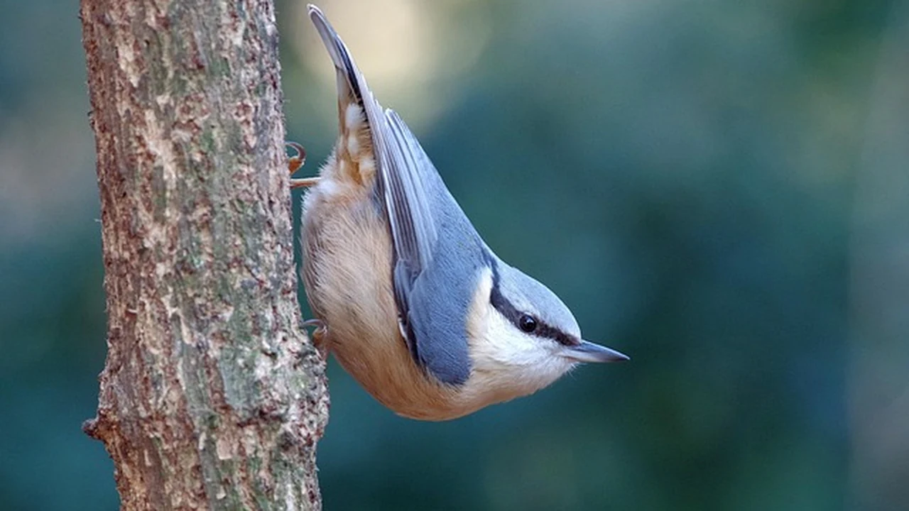 How To Fix Runner’s Knee for Good supporting running article image