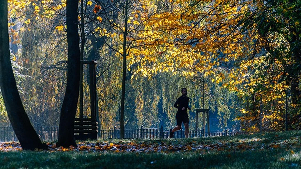 Step-by-Step Foam Rolling Routine for Runners (15–20 Minutes) supporting running article image