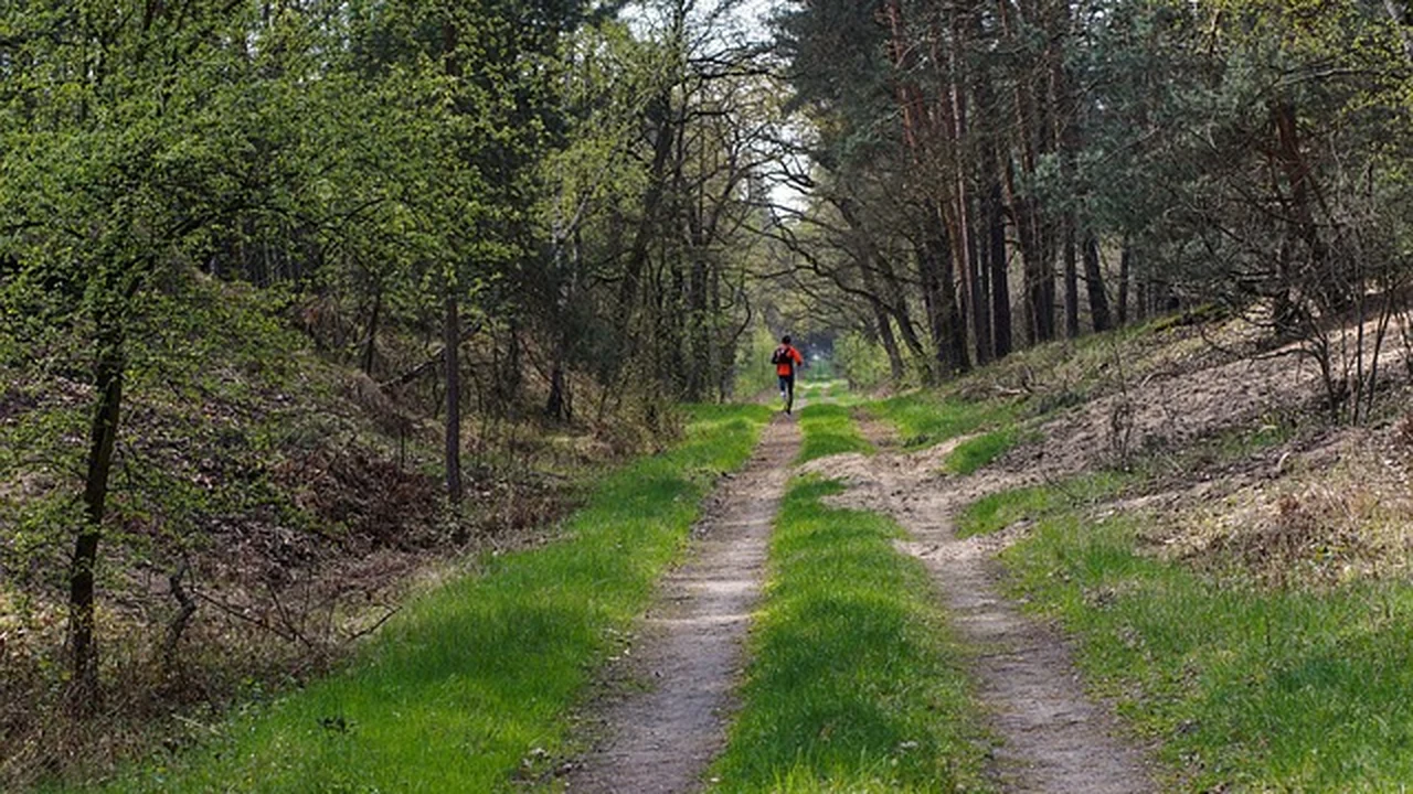 Conclusion: Making Foam Rolling a Sustainable Habit supporting running article image