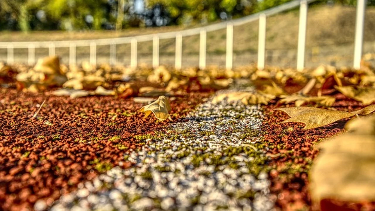 How to Improve Running Economy featured image for running performance guidance