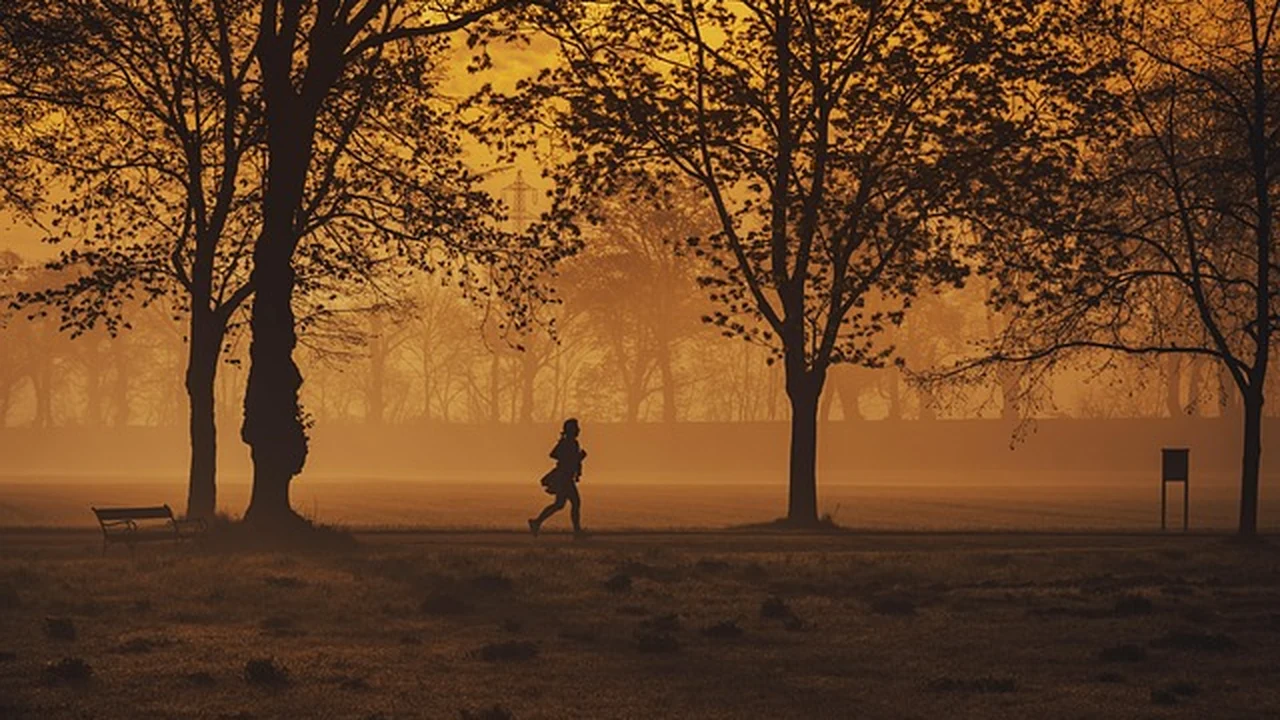 Visual Aids and Images to Include supporting running article image