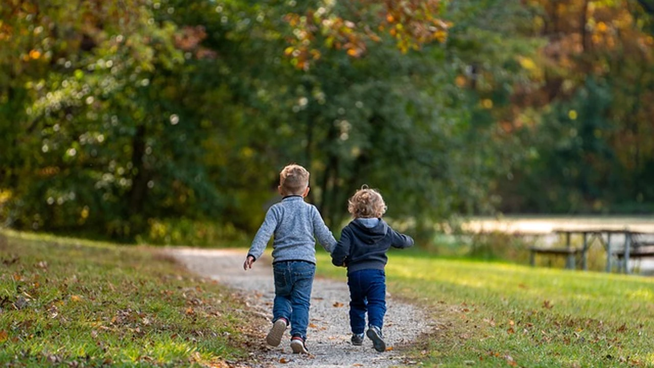 Understanding the Impact of Hot Weather on Running supporting running article image