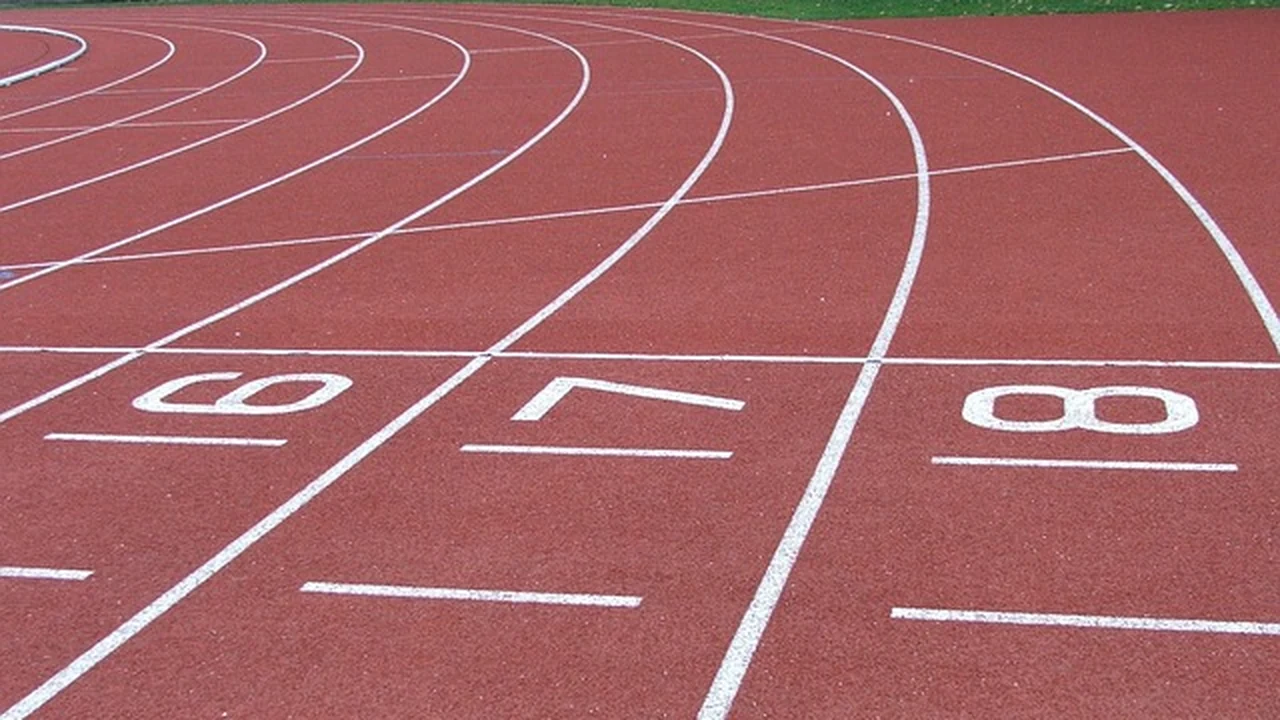 How the knee works and what running actually does to it supporting running article image