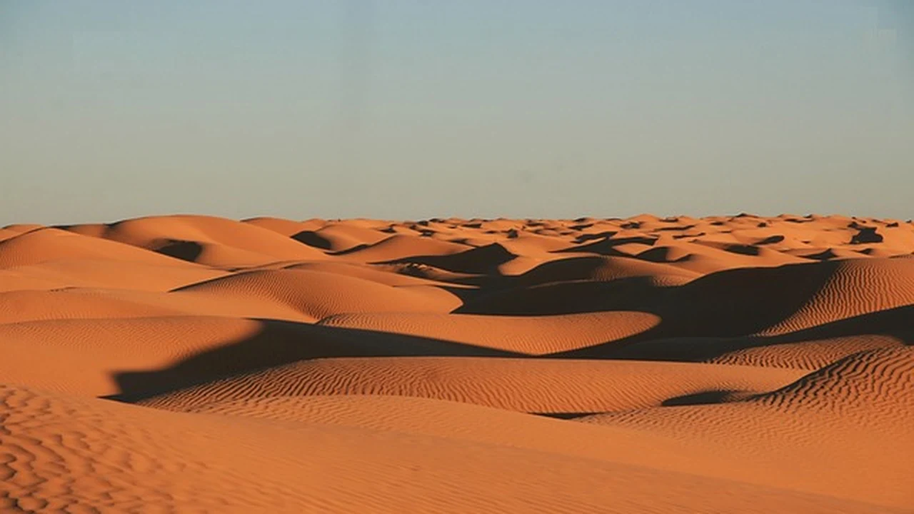 Developing an &lsquo;If &hellip; Then&rsquo; Strategy supporting running article image