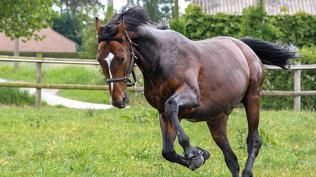 Quick Answer: What to Eat on Long Runs If You’re Over Gels supporting running article image