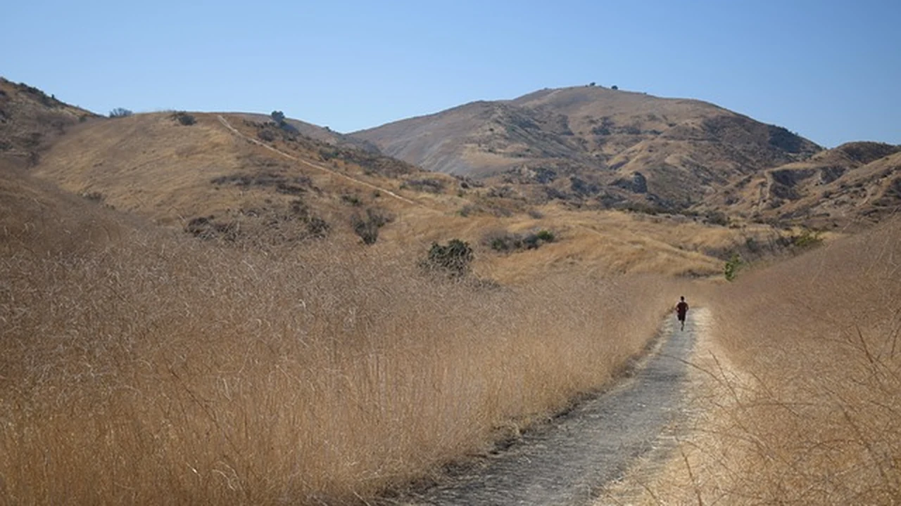 Optimizing Training with Menstrual Cycle featured image for specialized running guidance