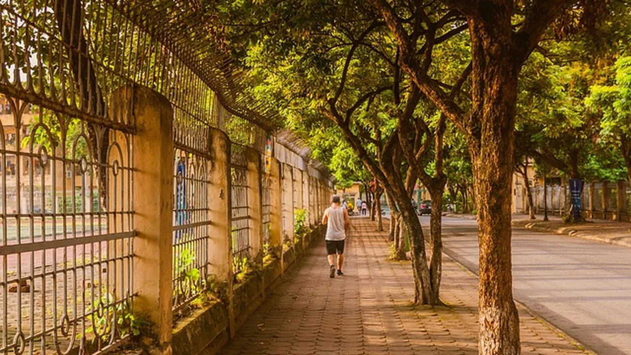 How Running Alleviates Anxiety Symptoms supporting running article image