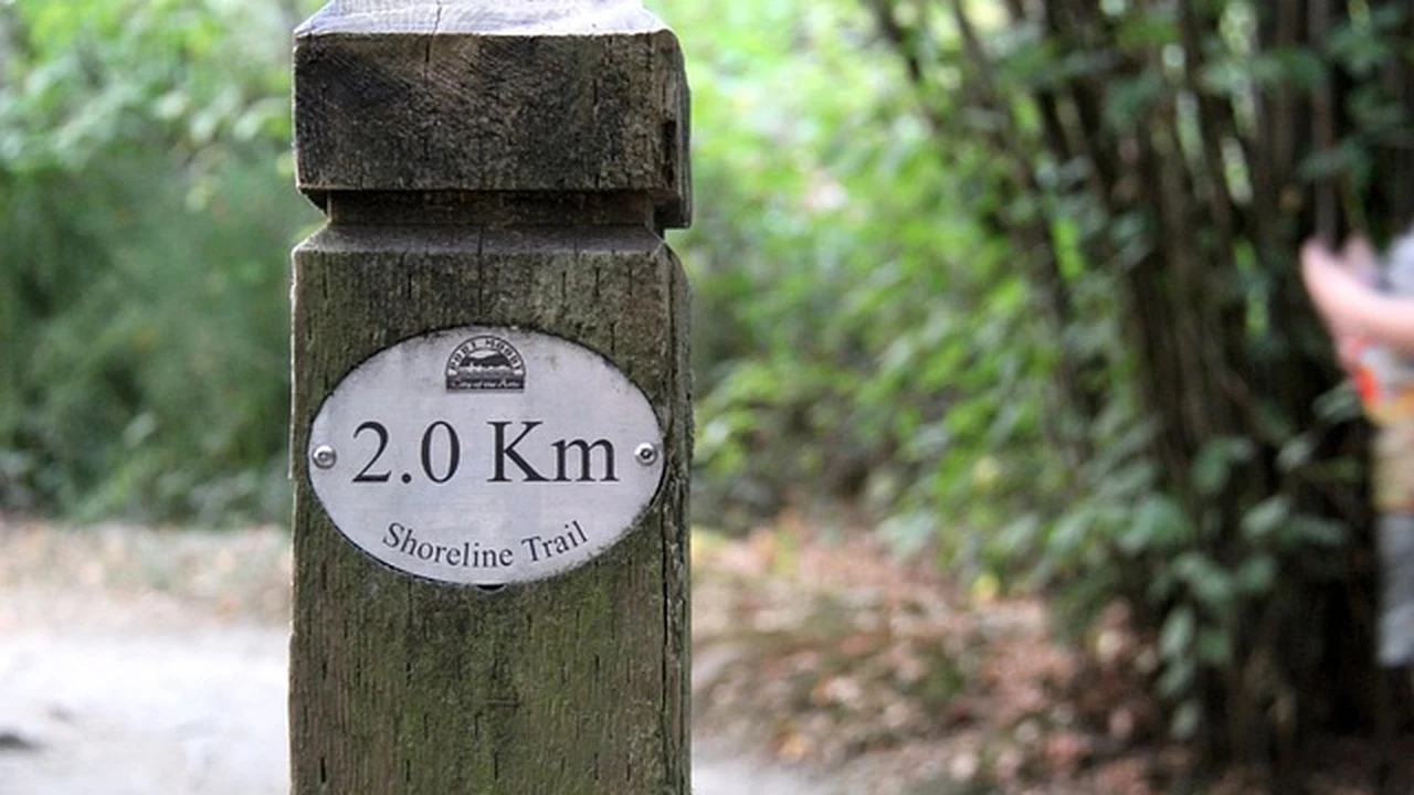 Should You Run Every Day as a Beginner? The Importance of Rest featured image for beginner running guidance