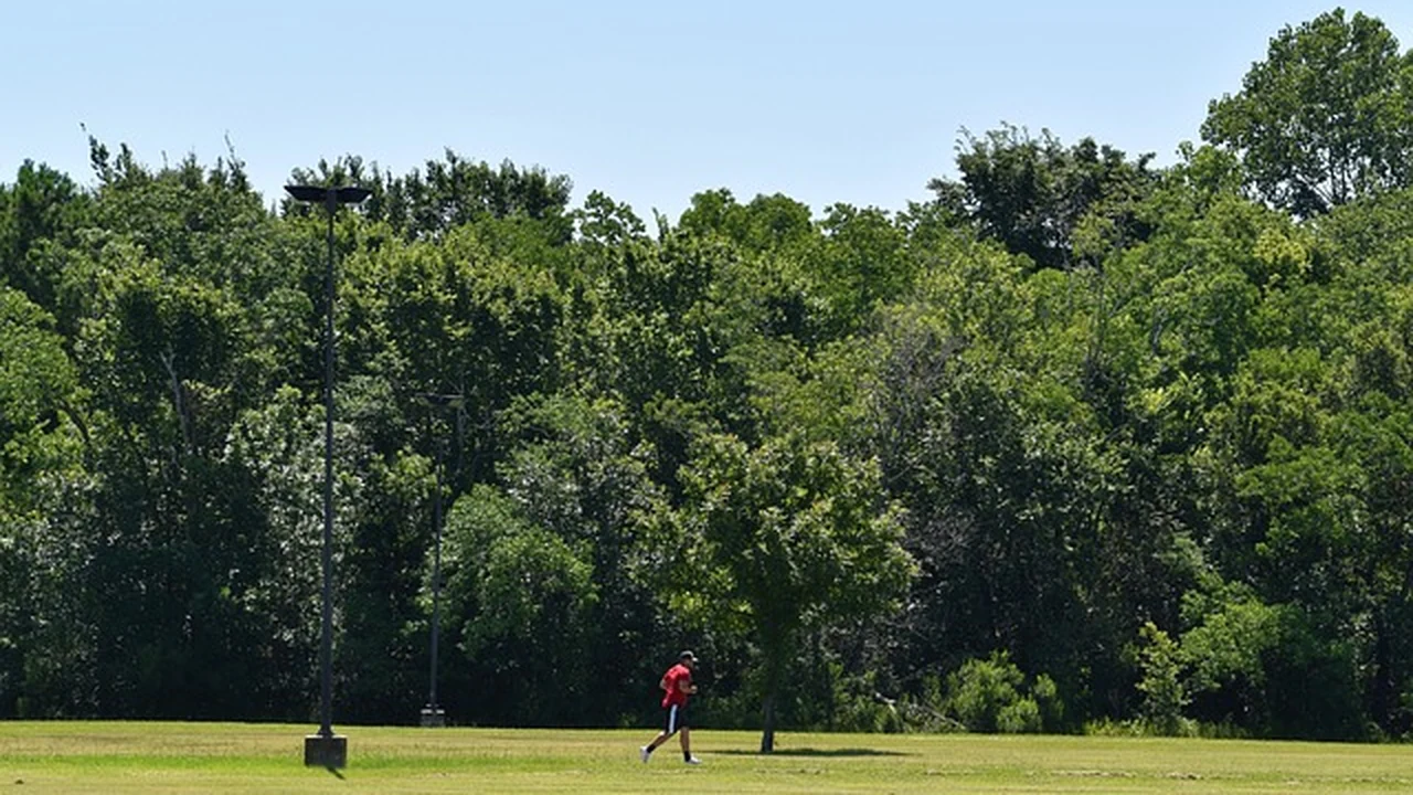 Should You Run Every Day as a Beginner? The Importance of Rest supporting running article image