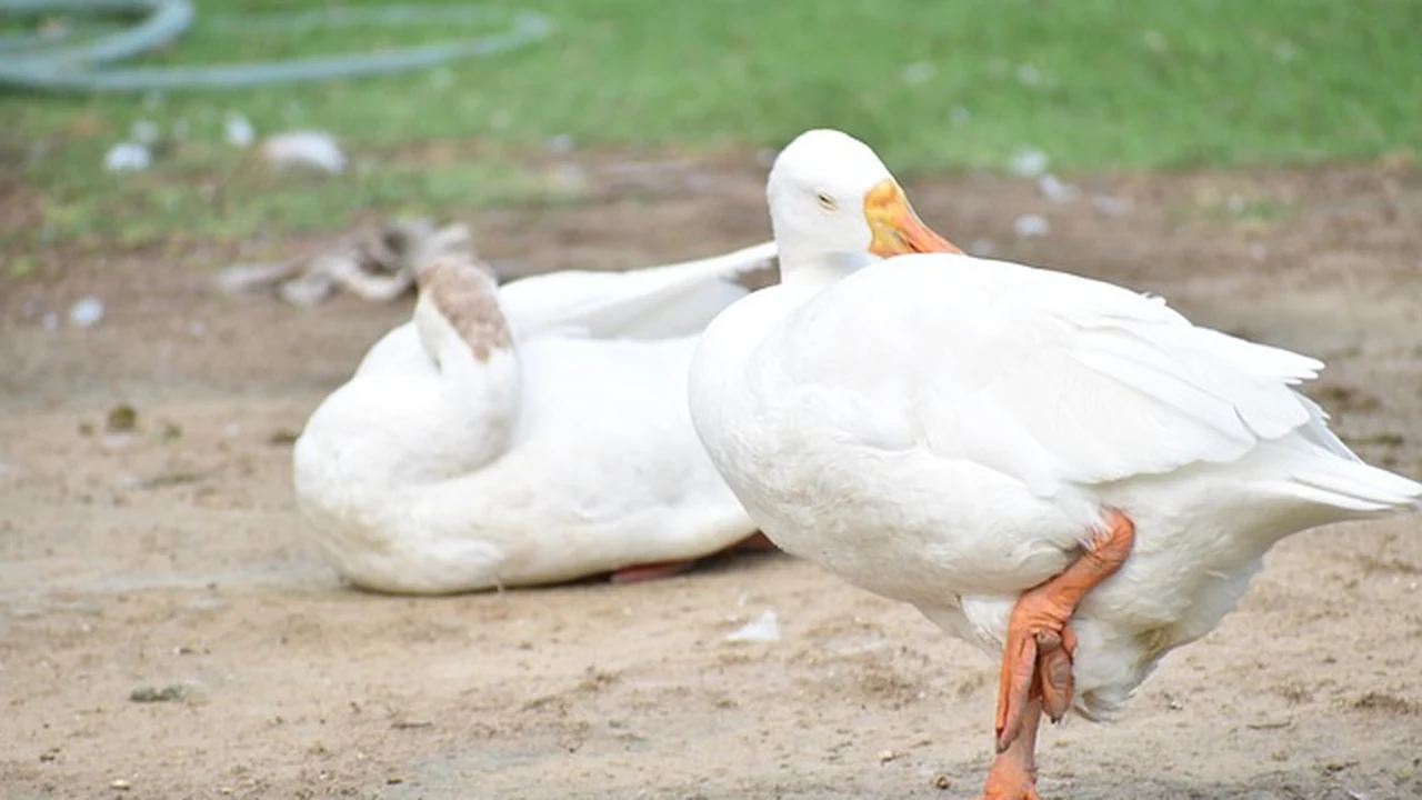 How to Prevent Running Injuries Before They Start supporting running article image