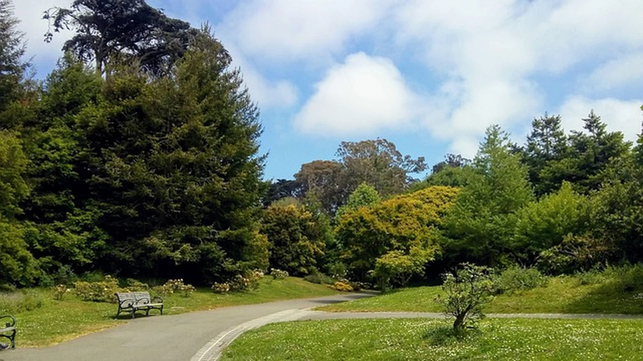 The 30-Minute Window featured image for running nutrition guidance