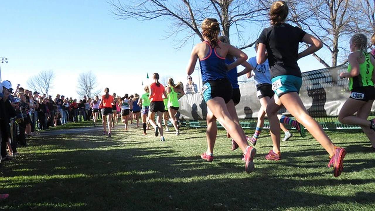 Why Cross Training is Essential for Runners supporting running article image