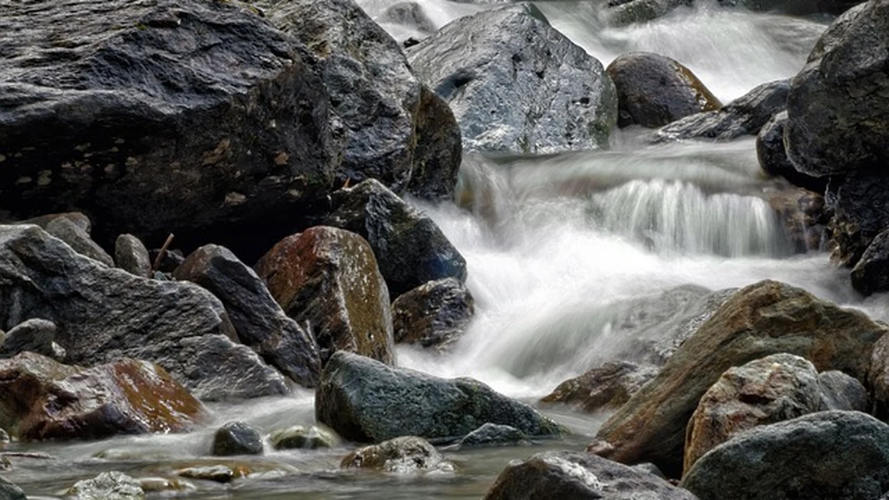 Step 4: Your 8-Week Couch to 5K Plan (Walk–Run Program) supporting running article image