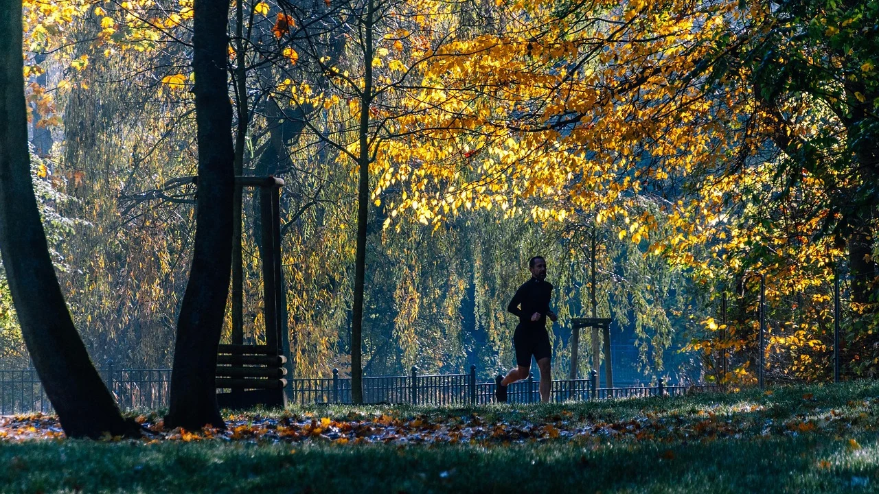 Top Return to Running Program After Injury featured image for recovery guidance for runners