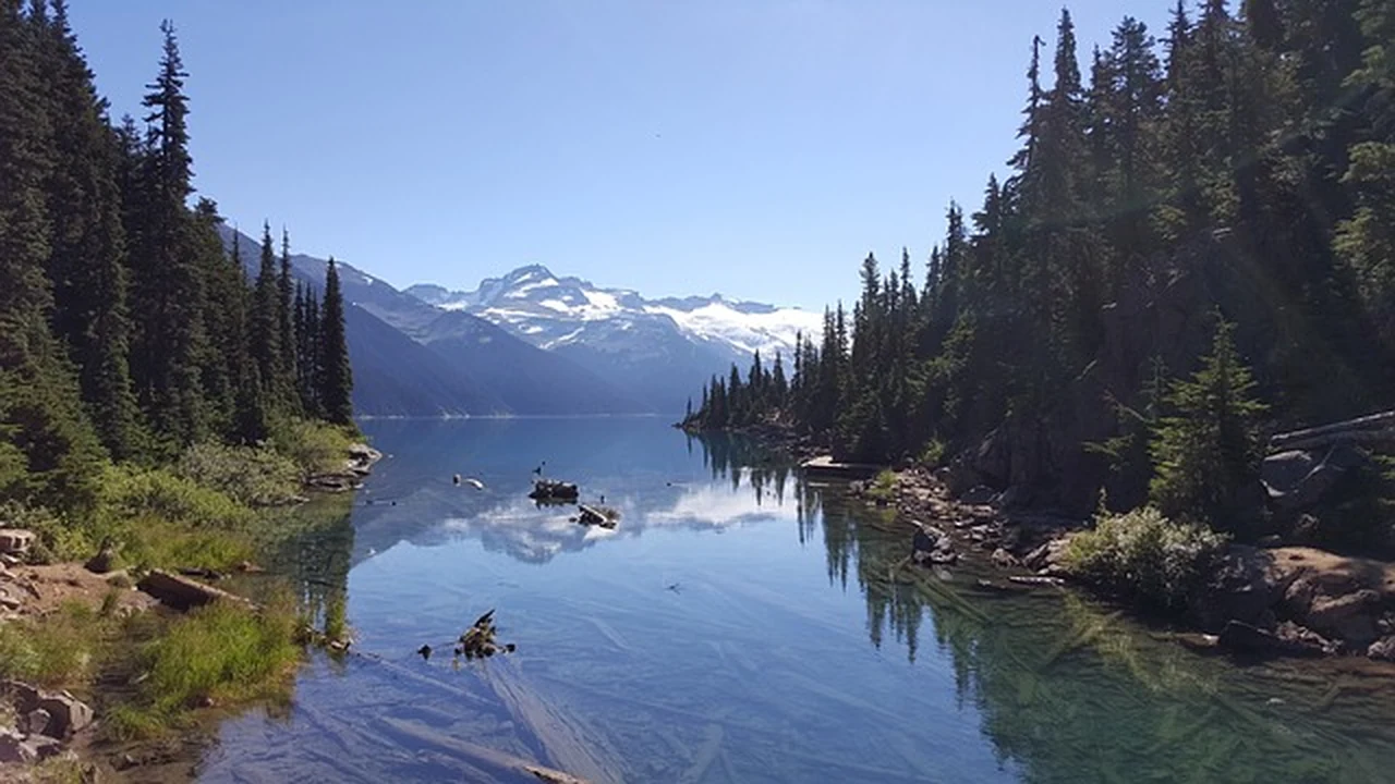 Comparing the Running Experience supporting running article image