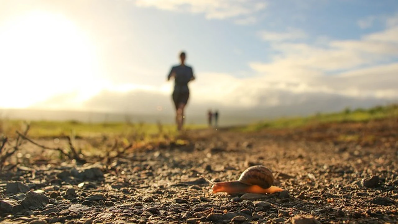 Monitoring Progress and Performance supporting running article image