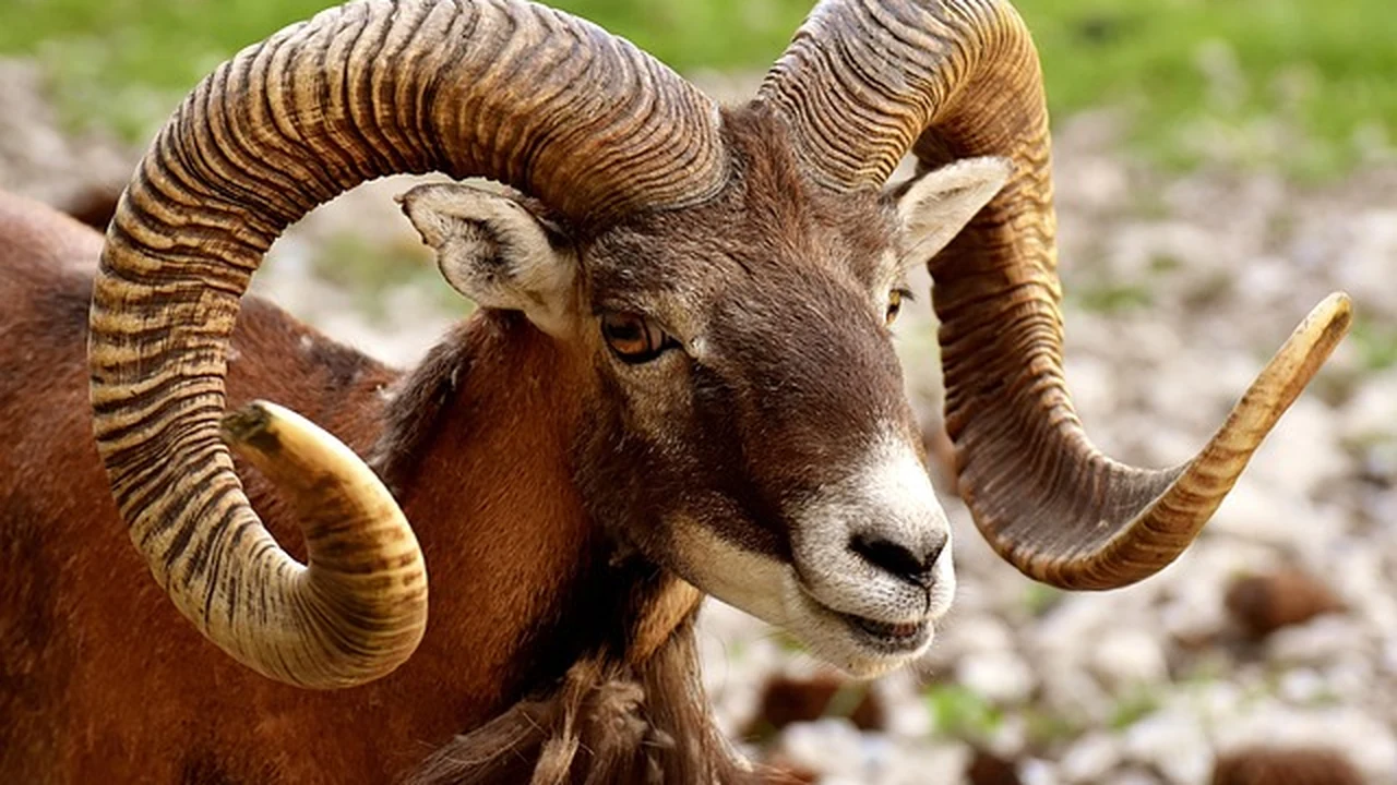 Summary supporting running article image