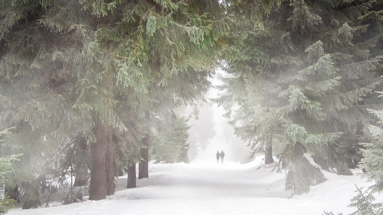 What to Wear for Cold Weather Running featured image for running nutrition guidance